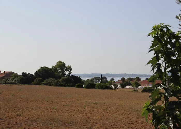 Le Petit Sud