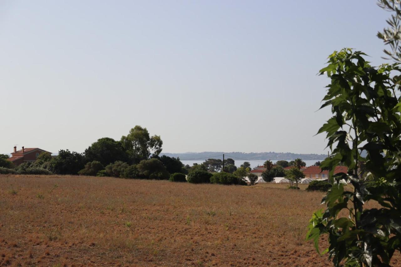 Le Petit Sud Apartment Carqueiranne