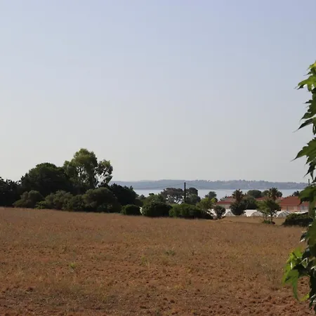 Appartamento Le Petit Sud Carqueiranne Esterno foto
